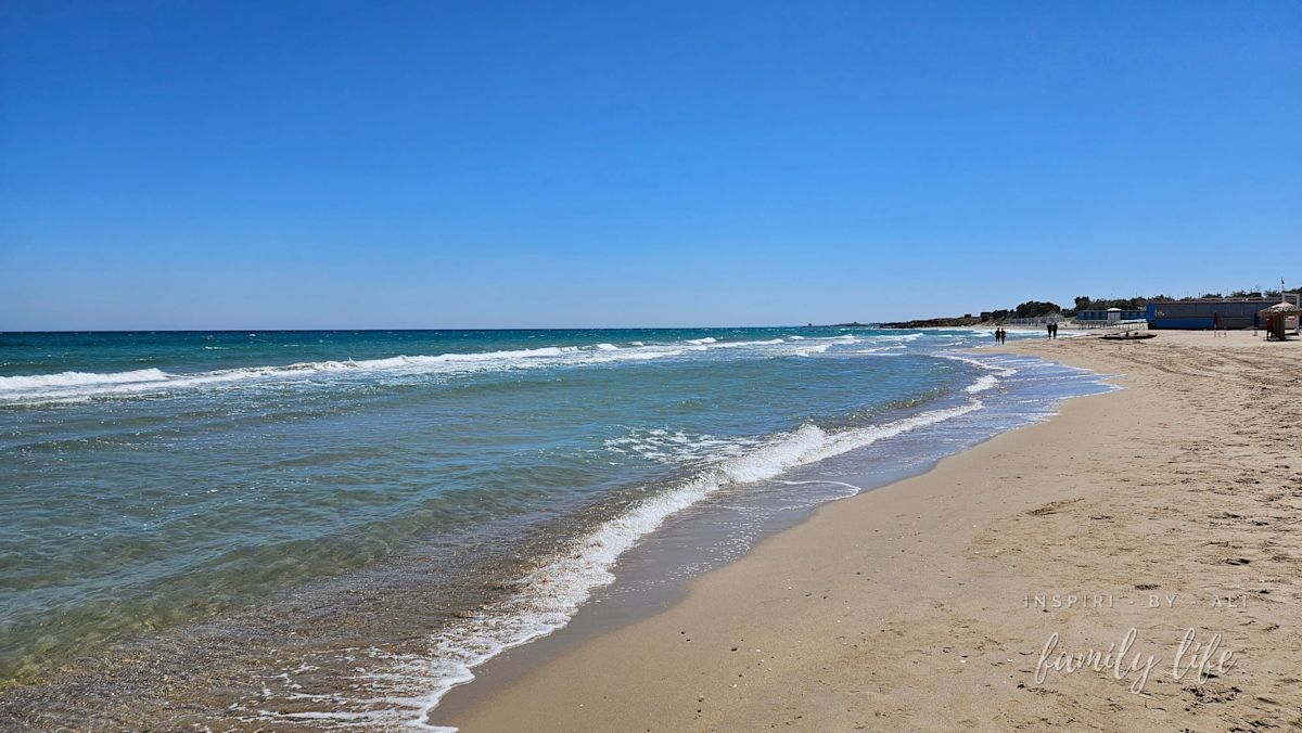 watermark-20240607 111557