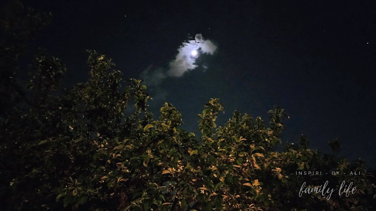 watermark-20250502 212811 (1)