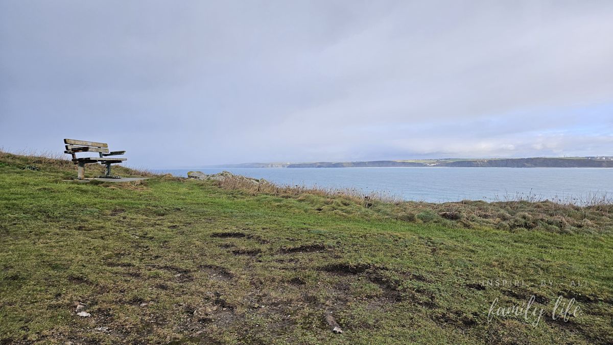 watermark-20241230 104342