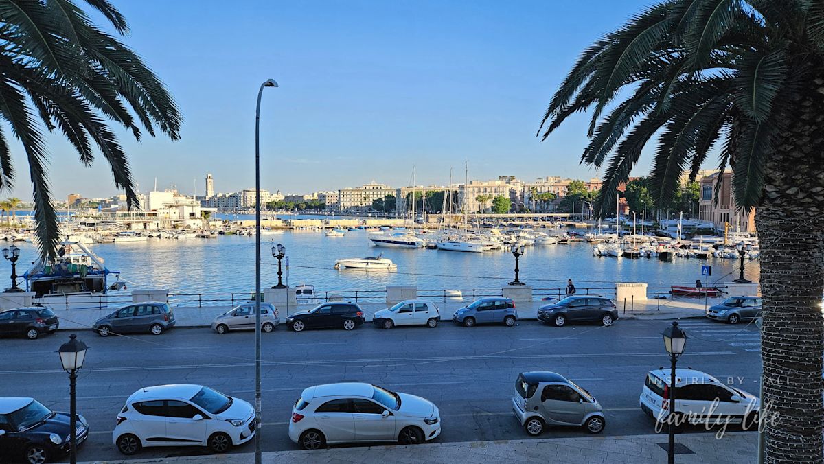 watermark-20240605 190437