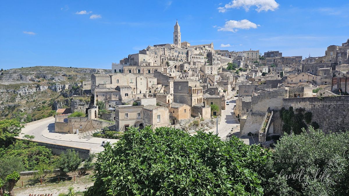 watermark-20240604 145602