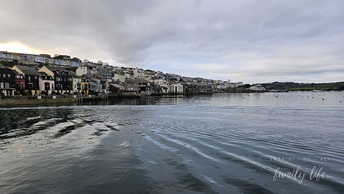 watermark-20241229 153259