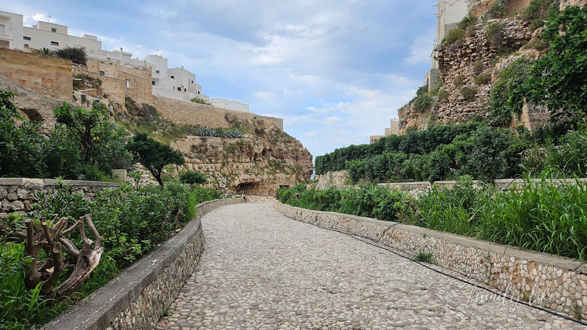 watermark-20240603 173453