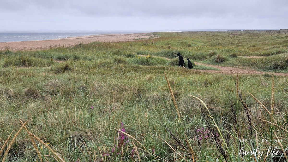 Dornoch Beach