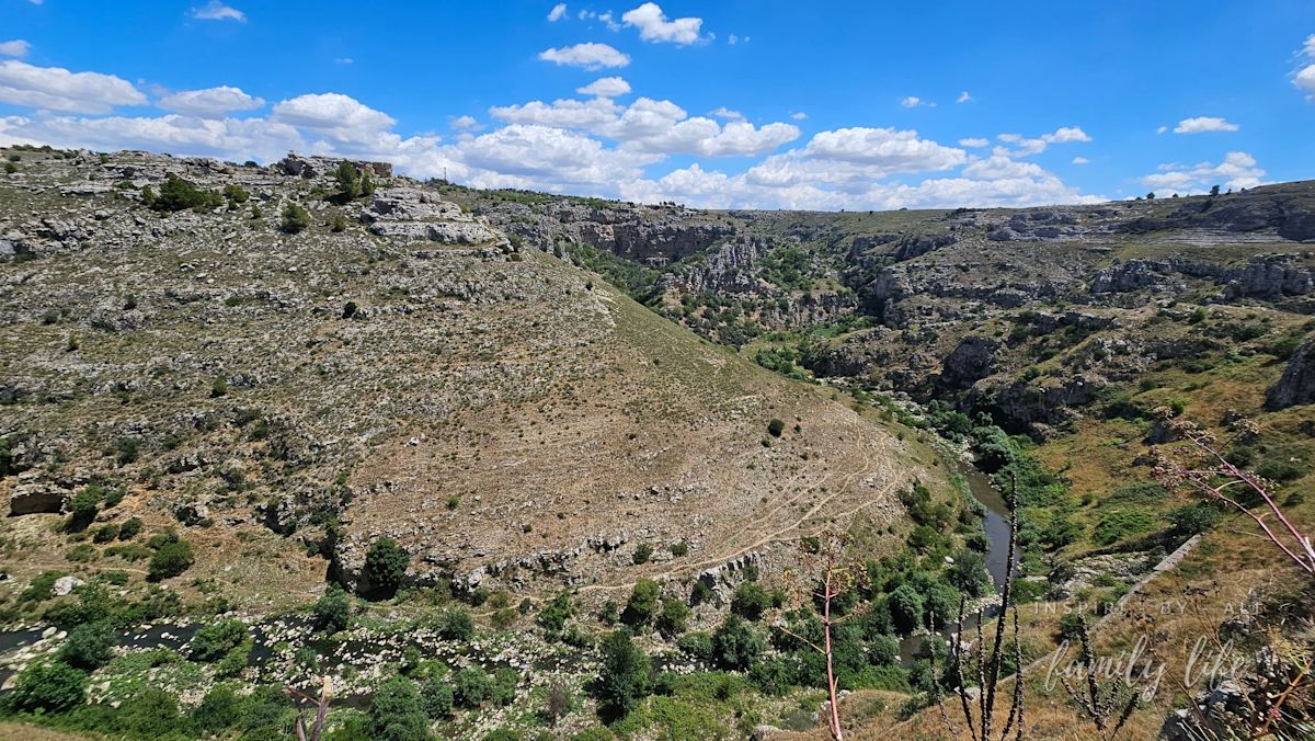 watermark-20240604 115925