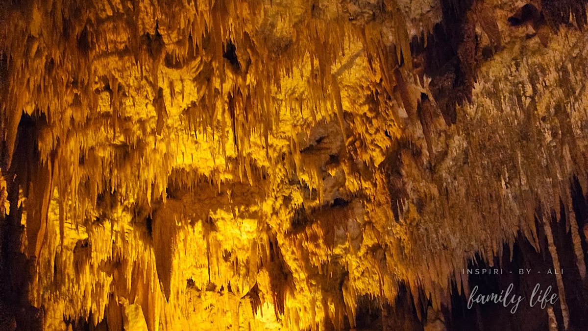 watermark-20240606 164704