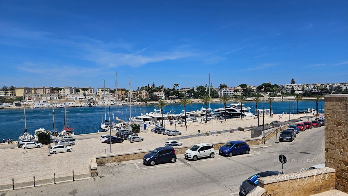 watermark-20240608 122119