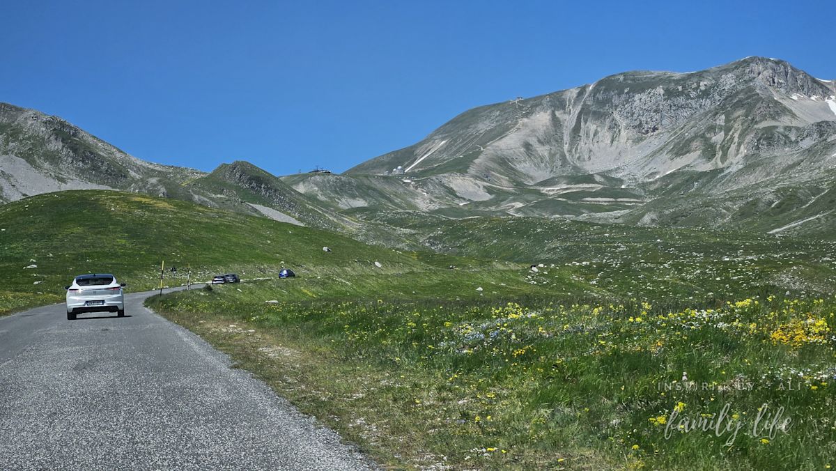 Kamienie, zieleń i śnieg - 3 w 1