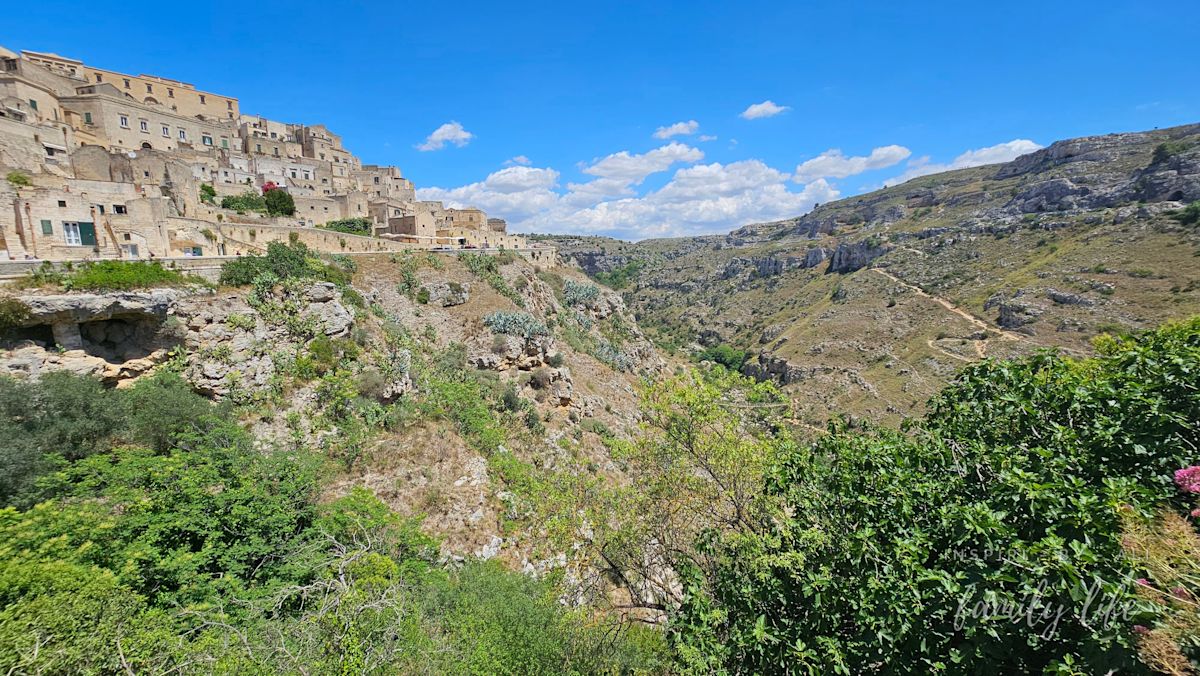 watermark-20240604 121649