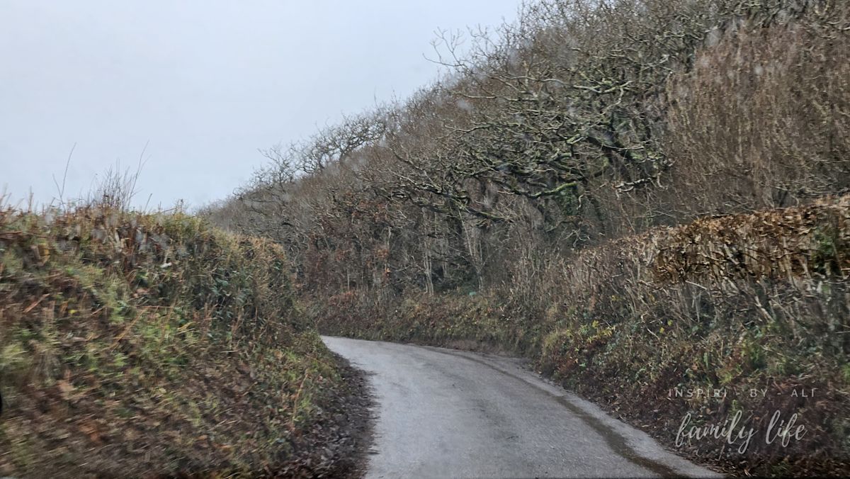 Droga przez wąskie wąwozy z dobrego horroru