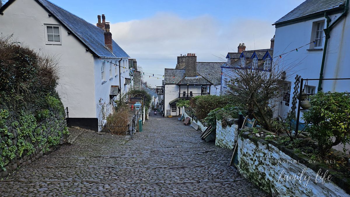 watermark-20241227 122625