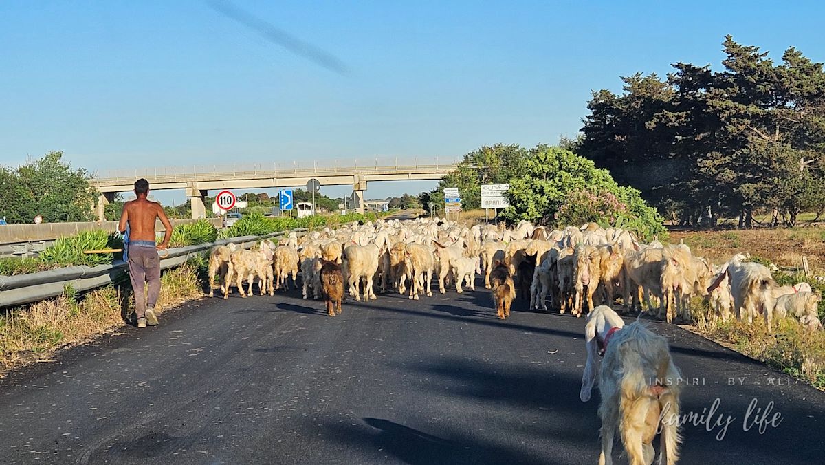 watermark-20240606 184659