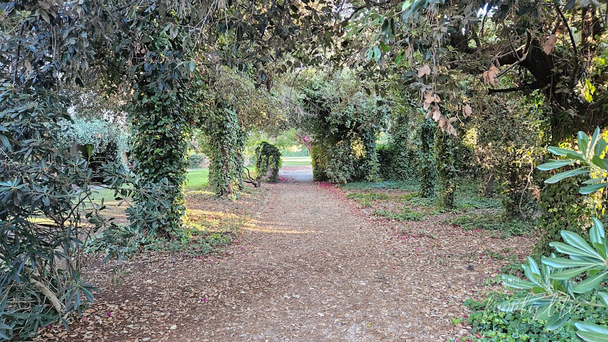 watermark-20240606 192541