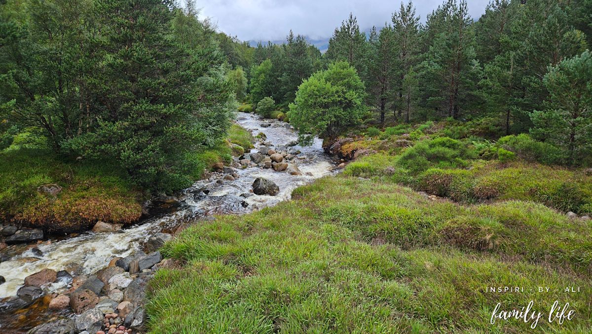 Cairngorm Herd Hill Trip