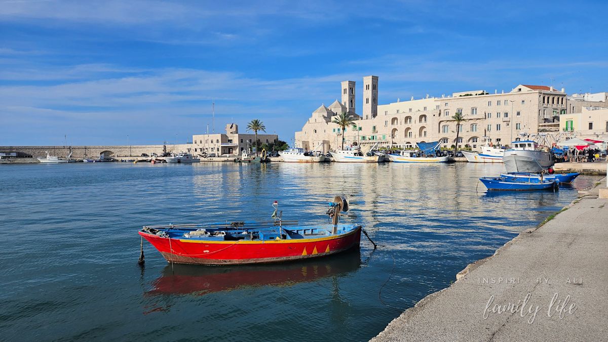 watermark-20240604 181235