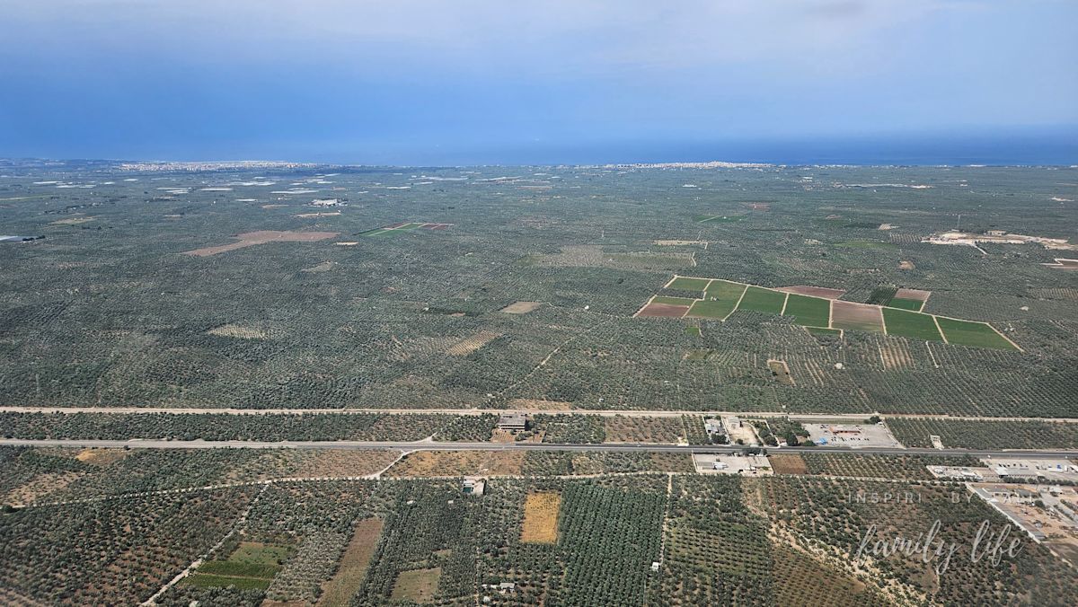 watermark-20240602 154105