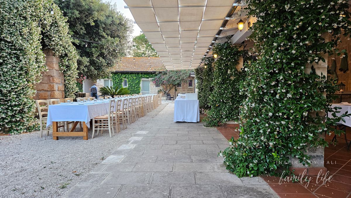 watermark-20240608 193433