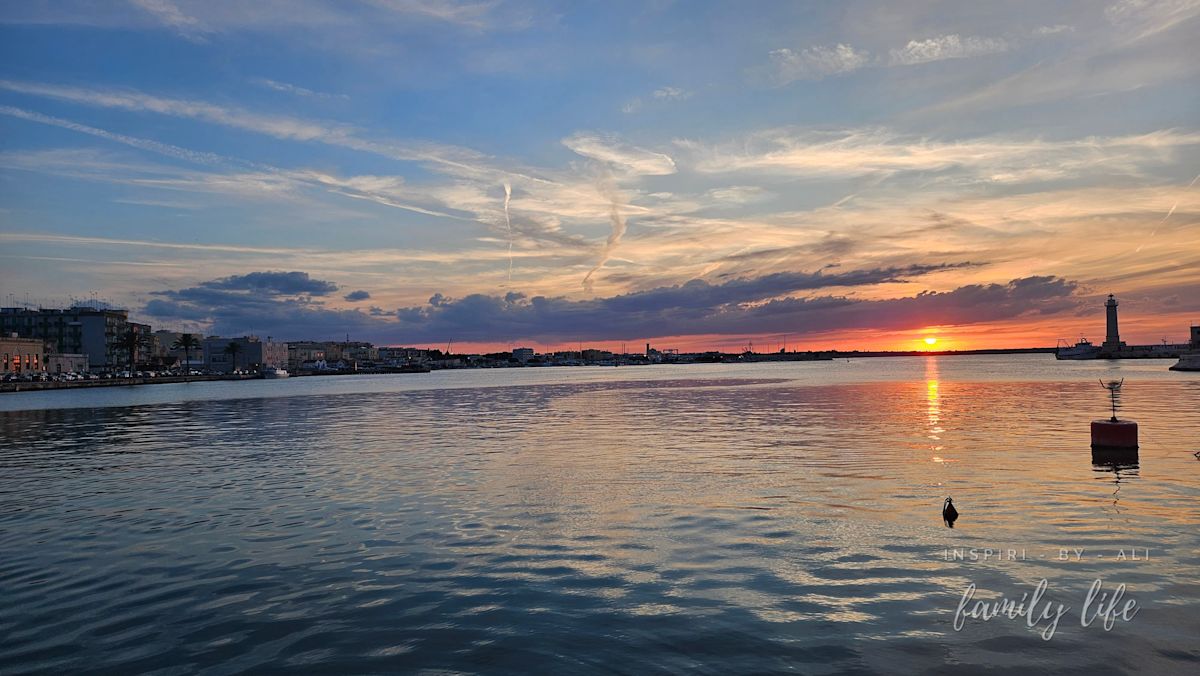 watermark-20240604 201411