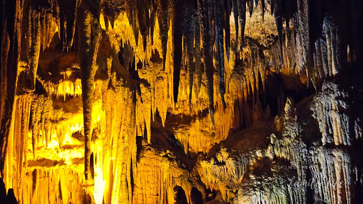 watermark-20240606 161346