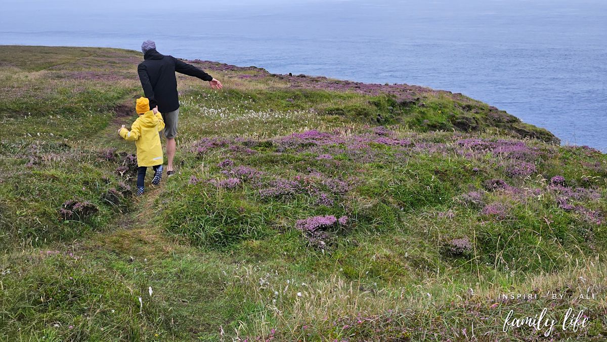 Dunnet Head