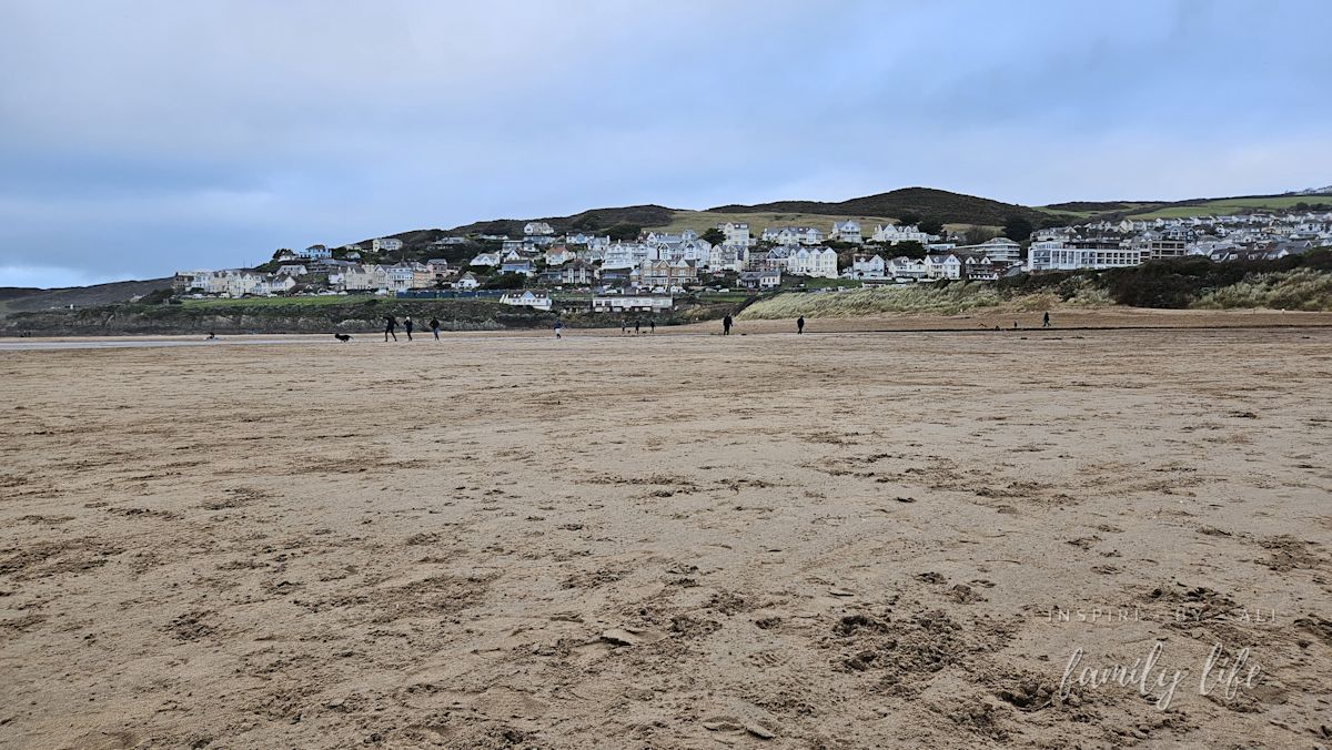 watermark-20241230 151848