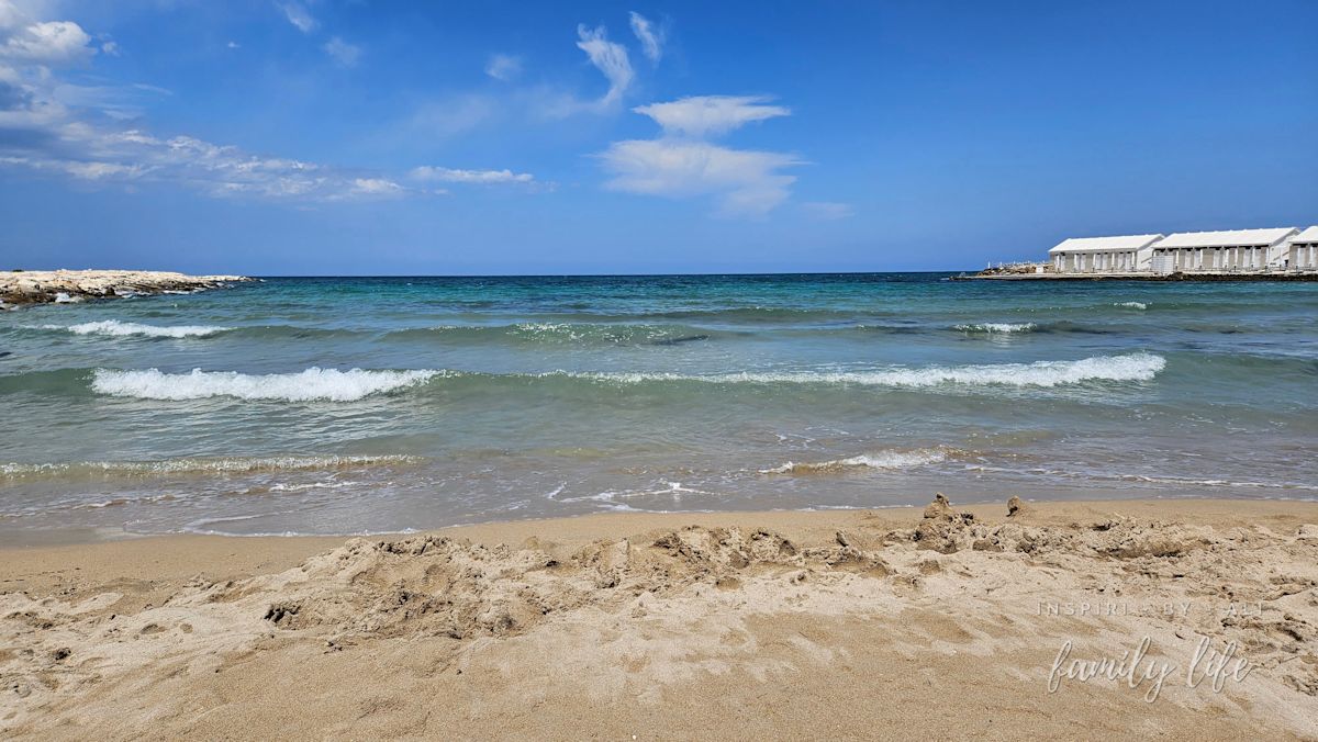 watermark-20240603 134959