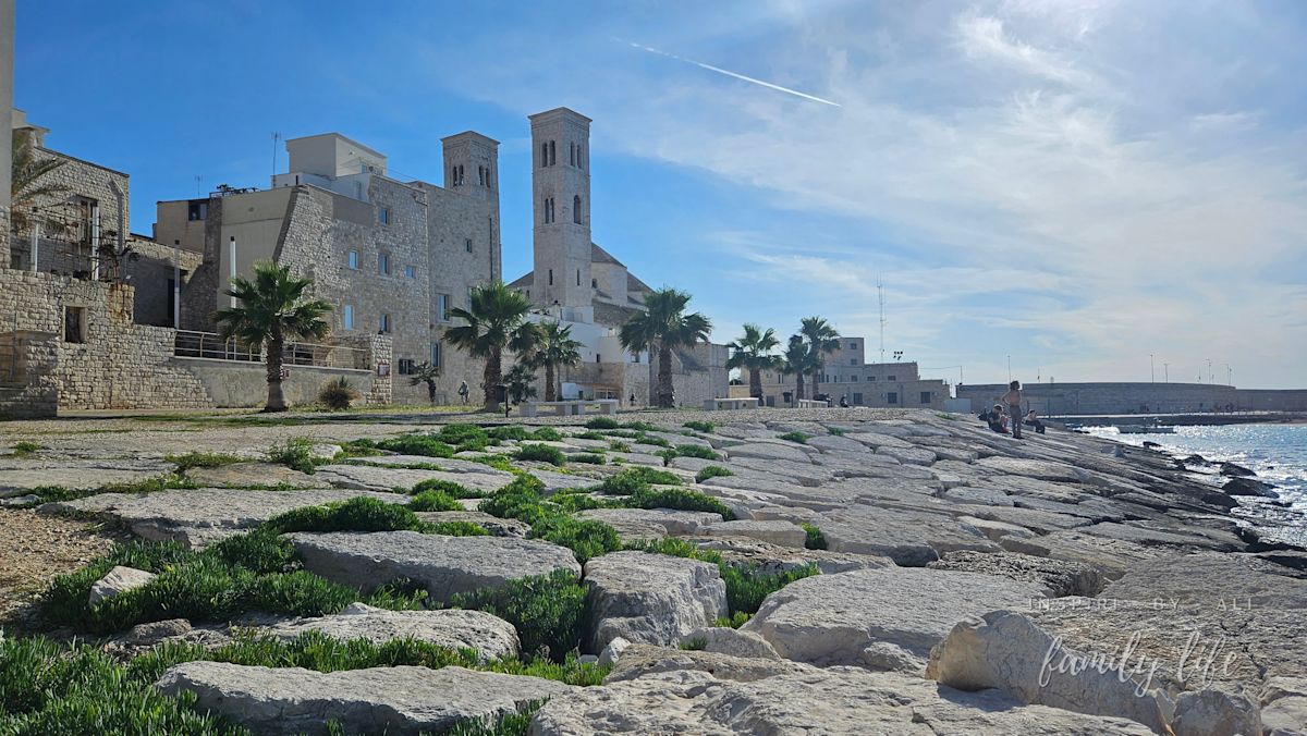 watermark-20240604 174204