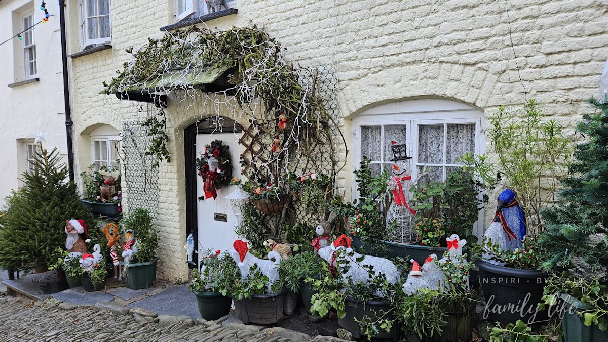 watermark-20241227 123219