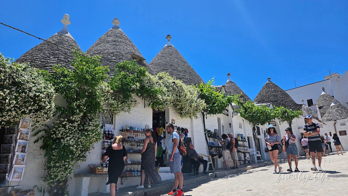 watermark-20240606 125759