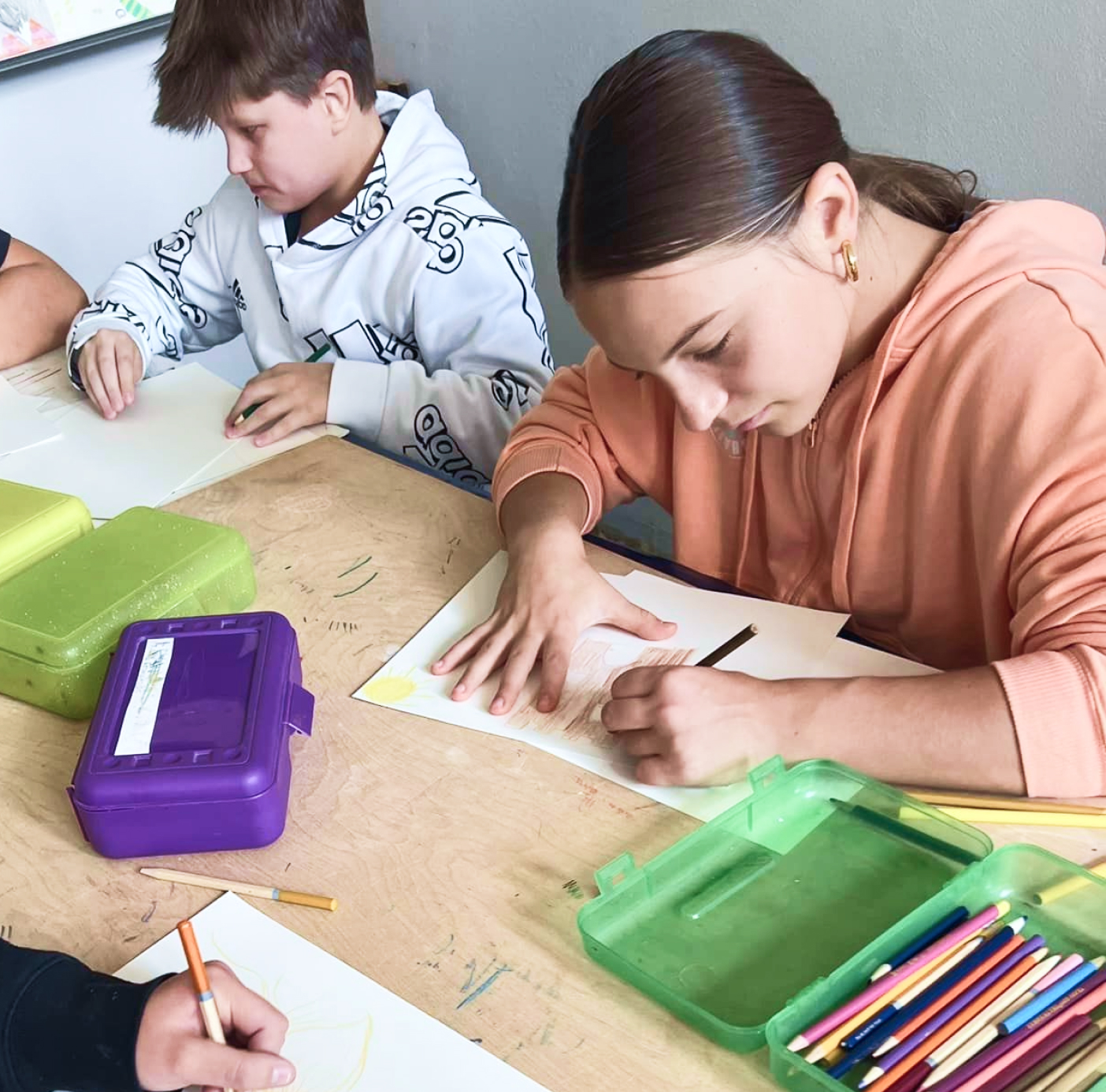 Čikagos lituanistinė mokykla