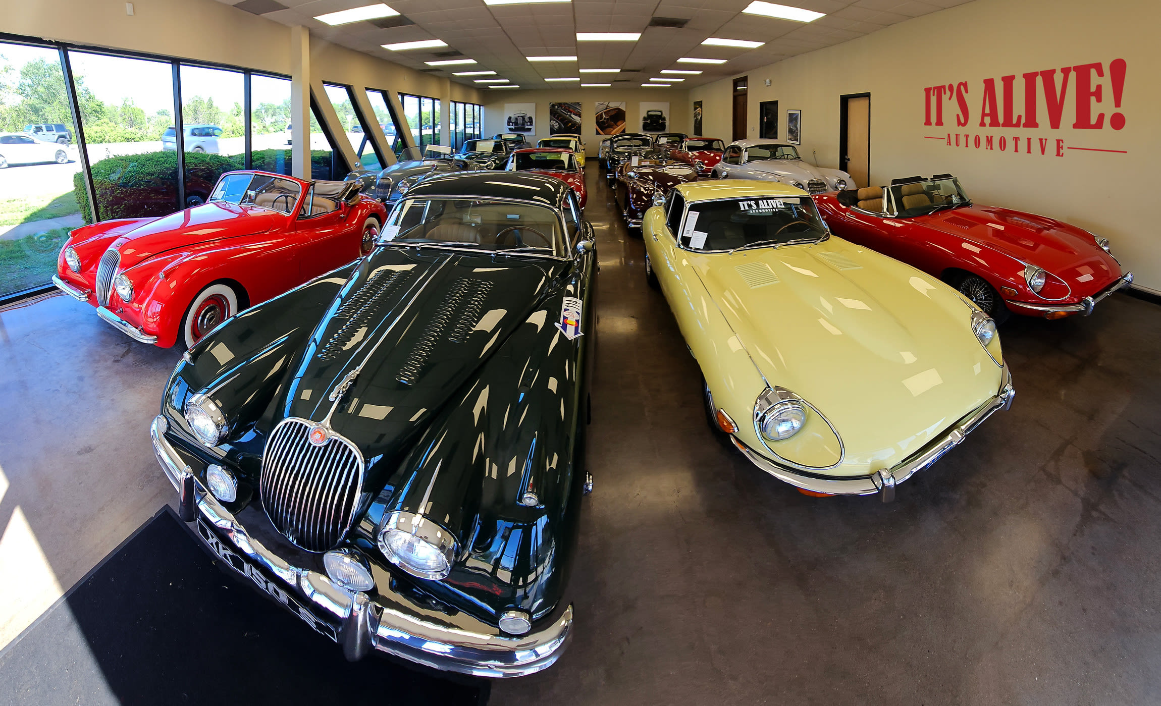 It's Alive Automotive header image