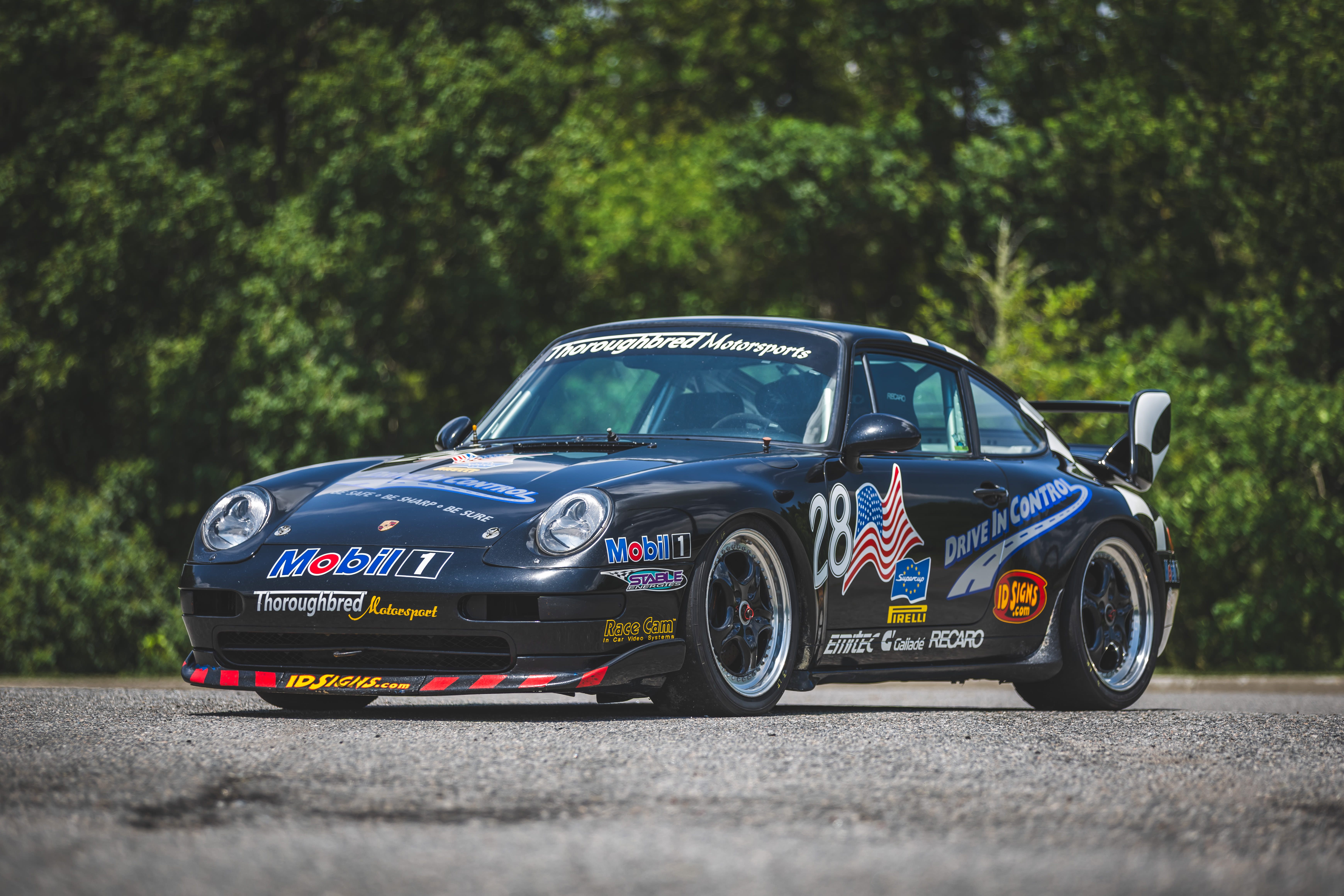 Thoroughbred Motorsports Collection header image
