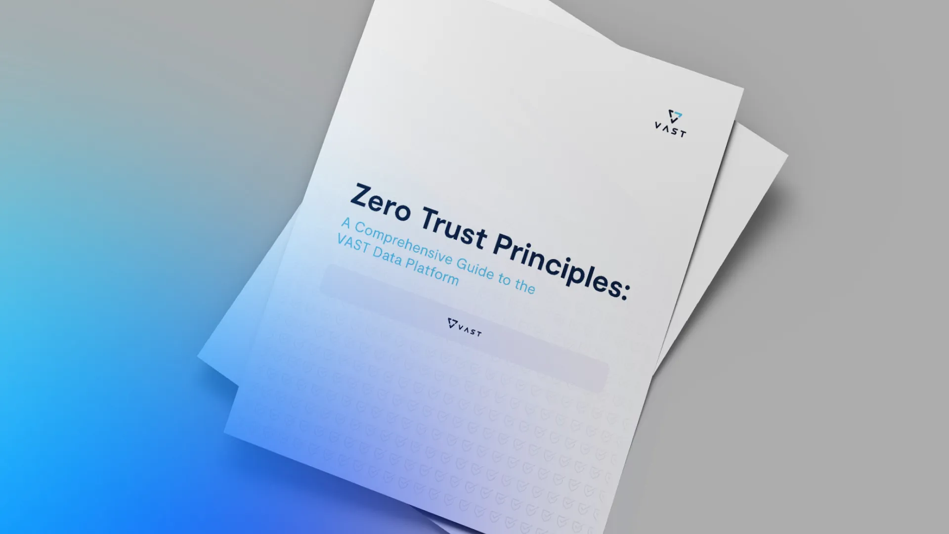 Zero Trust Principles