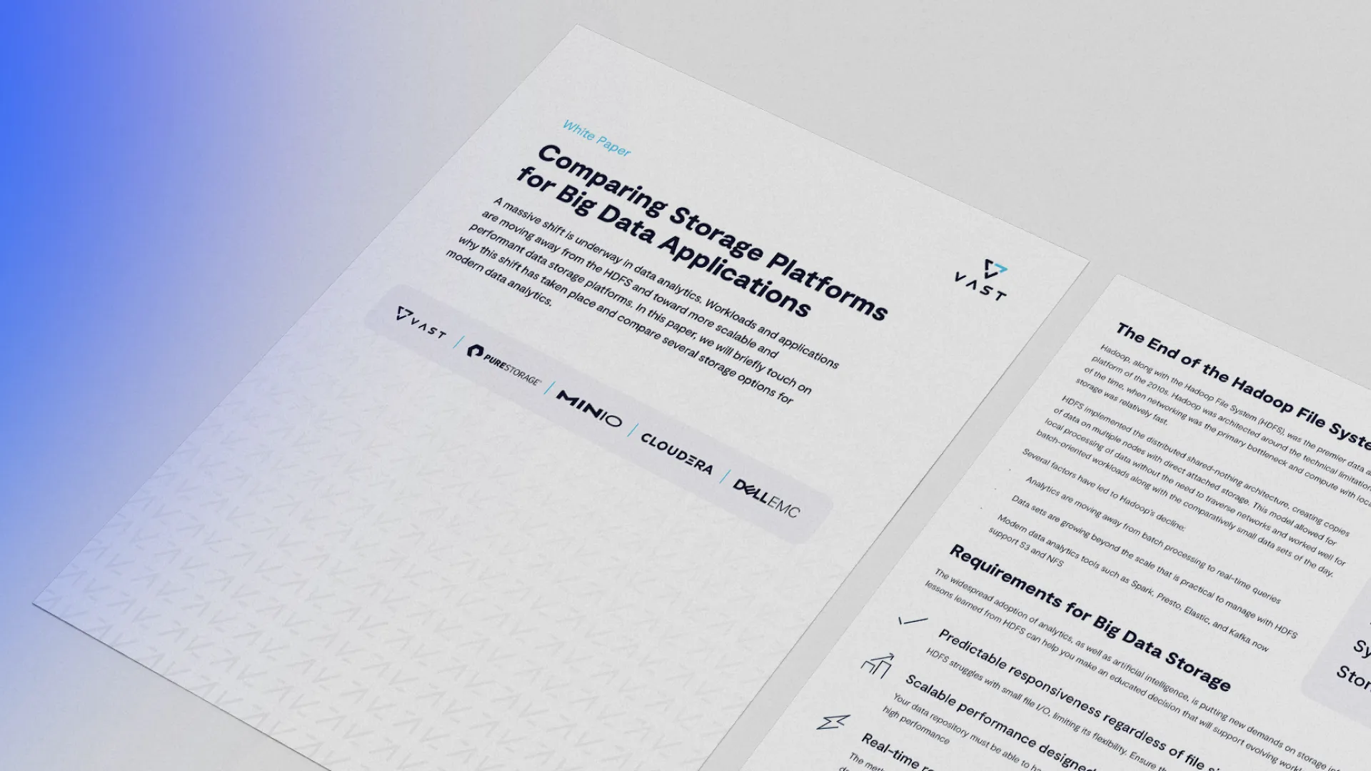 Big Data Storage Platform Comparison White Paper
