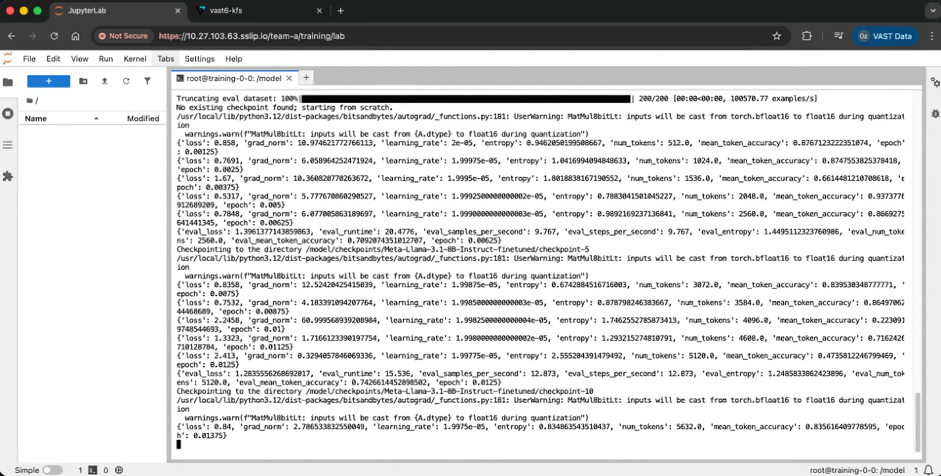 Simplifying Data Management with VAST and NVIDIA Run:AI