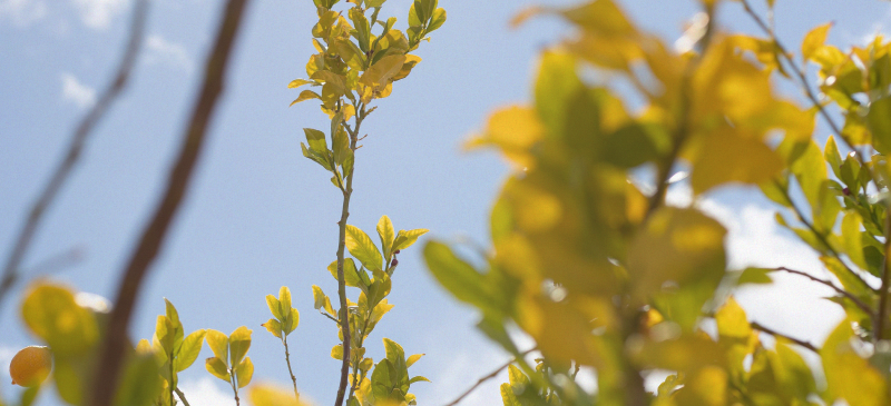 Best time to take creatine