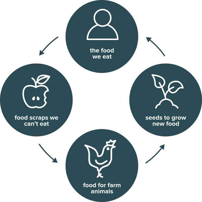 The food that we can't eat becomes food for other animals, food for the soil and the seeds from those food scraps can become our food again. By rethinking our consumption and disposal of food, we can help the environment and bottom lines.