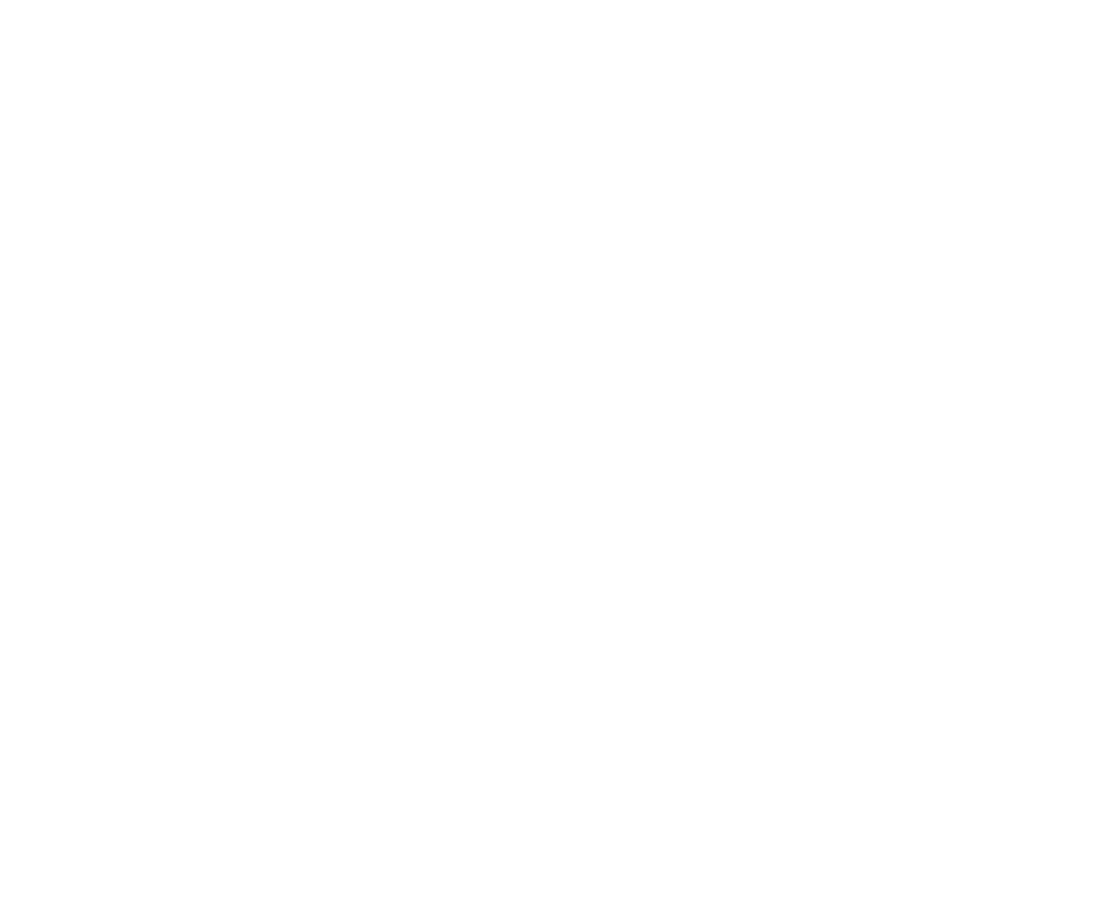 Ancient Nutrition Logo 3