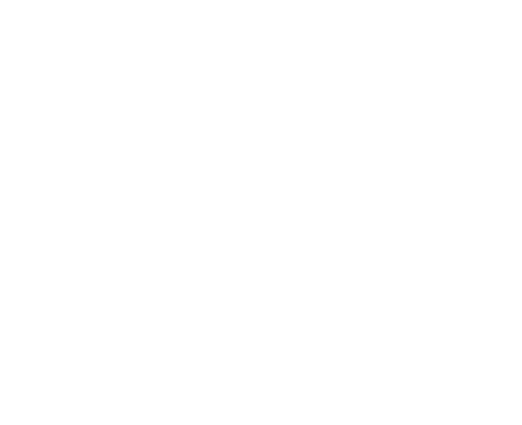 Ancient Nutrition Logo 3