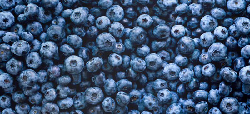 Best superfoods