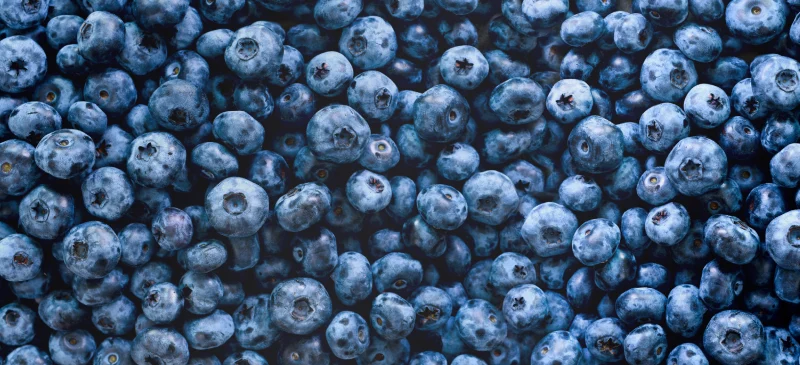 Best superfoods