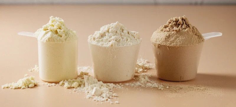 Best types of protein powder