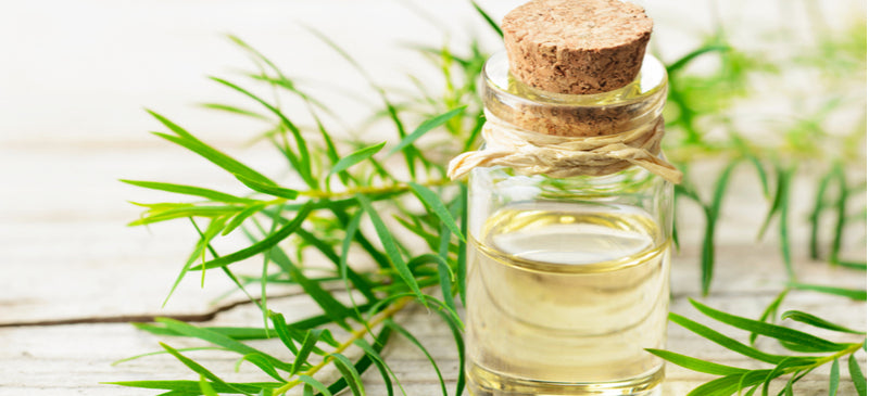 Rosemary Oil Benefits and Uses, Including for Hair Loss - Dr. Axe