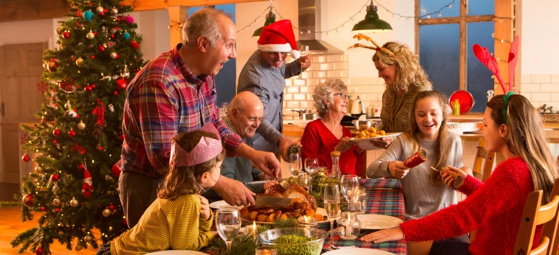 Holidaysurvivalguideheader Jpg
