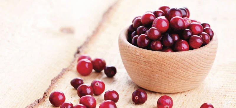 Urinarytracthealthheader Jpg