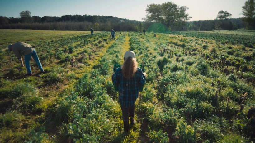 a person in a field