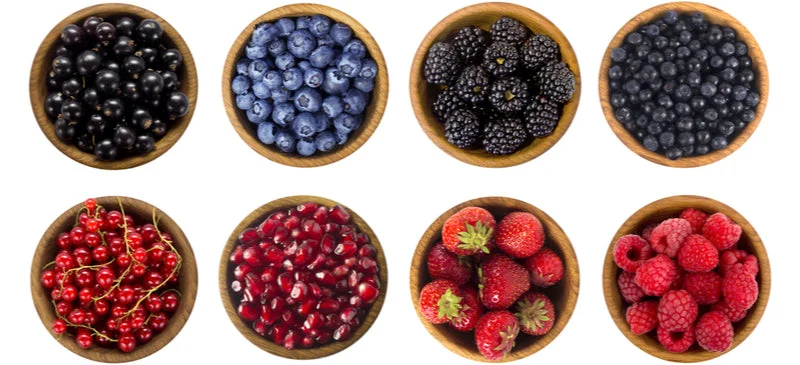 Berries Header Jpg