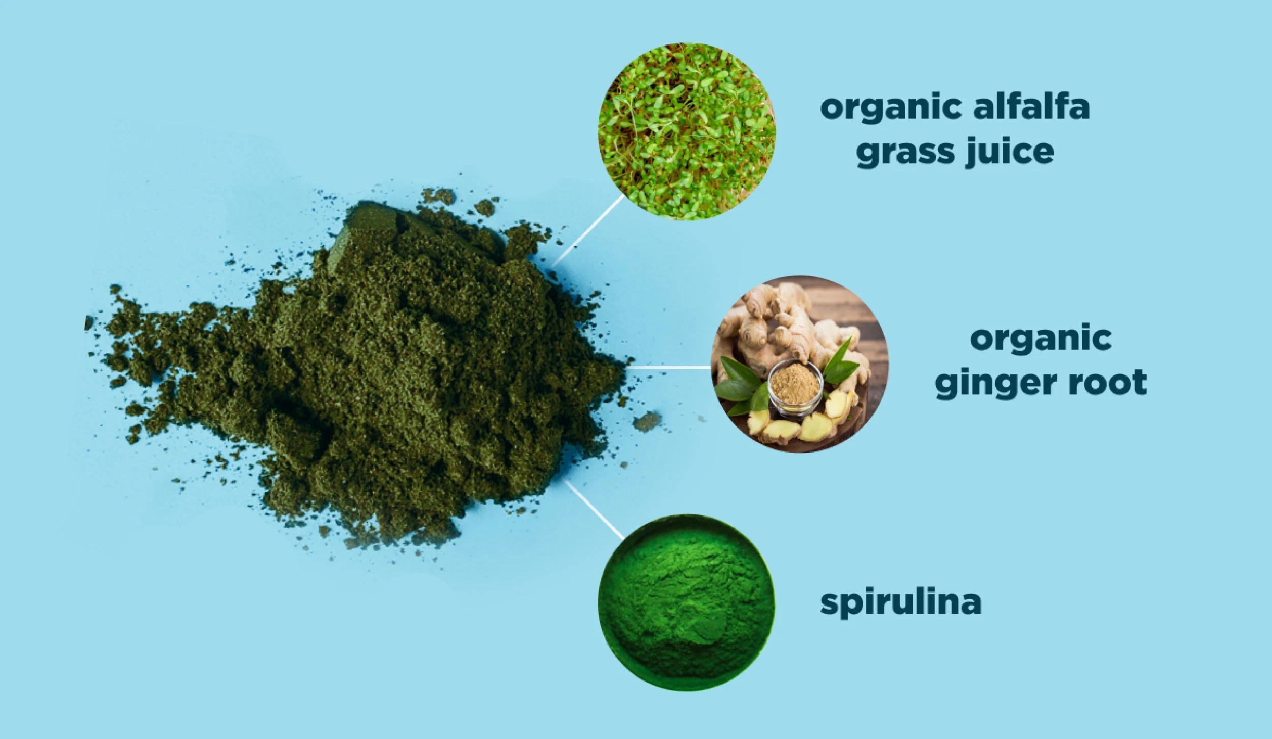 organic supergreens powder ingredients