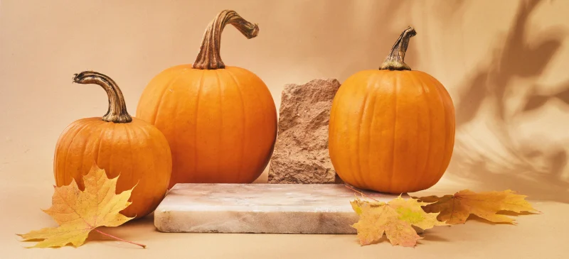 Pumpkin benefits