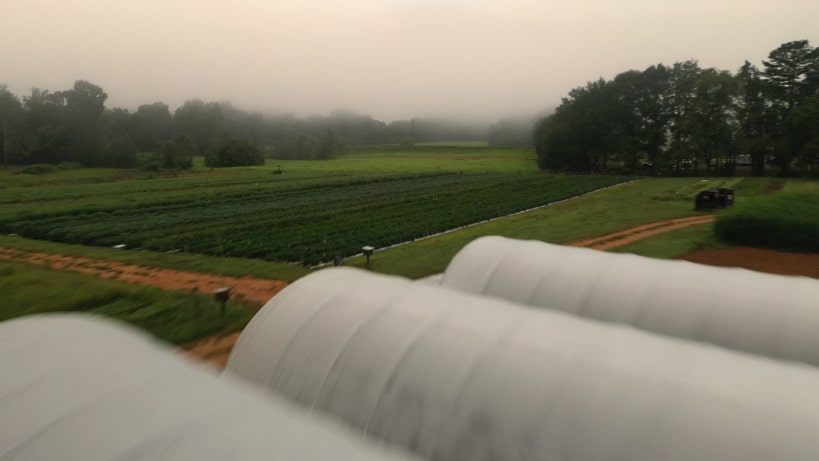 a greenhouse view on the ranch